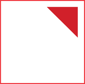  Todays Fly Logo